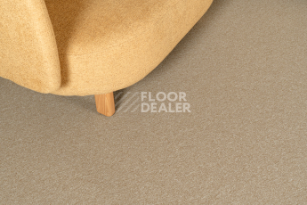 Haima Atom 08 Beige фото 2 | FLOORDEALER